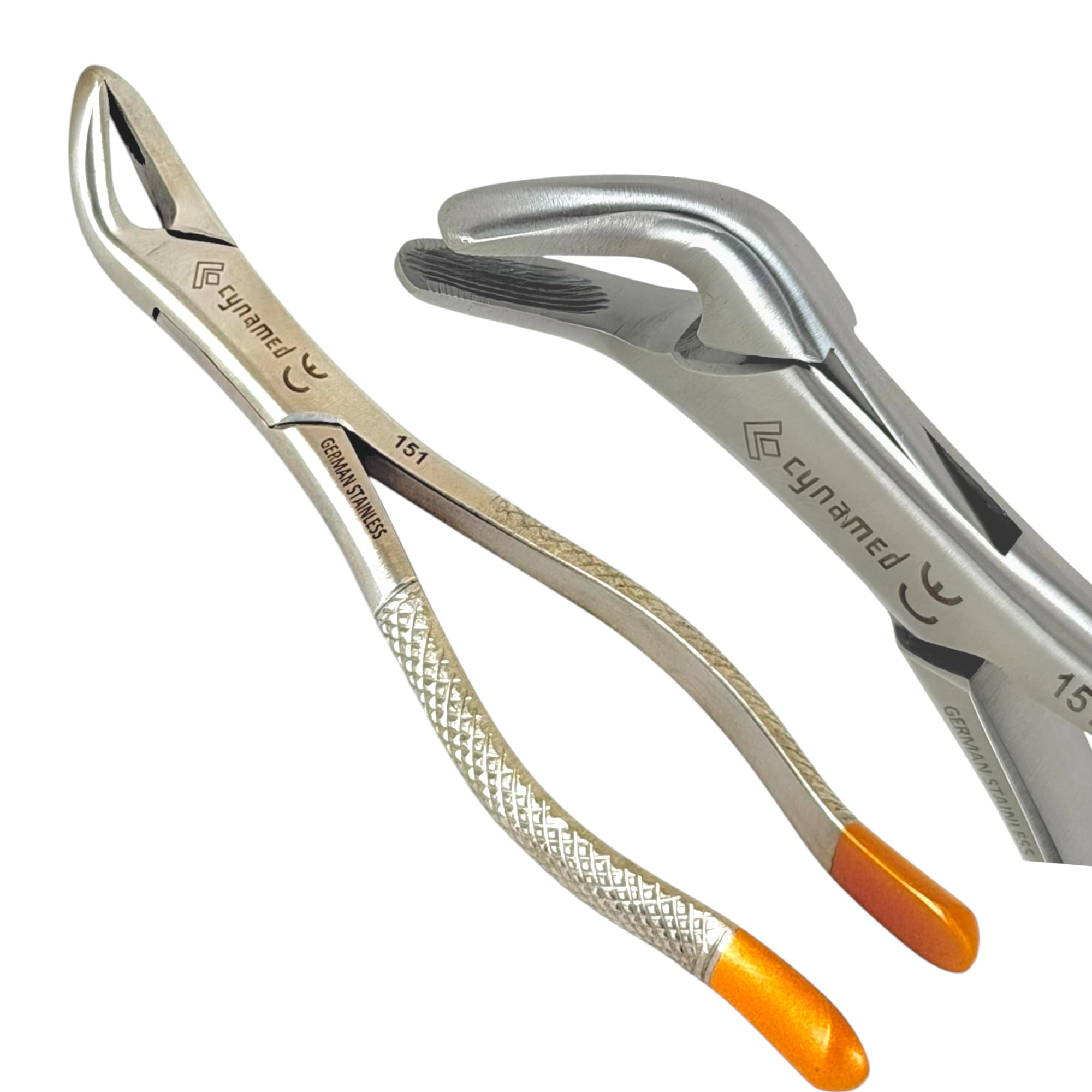 Amazon.com: German Dental Extracting Forceps #151-Lower Bicuspid